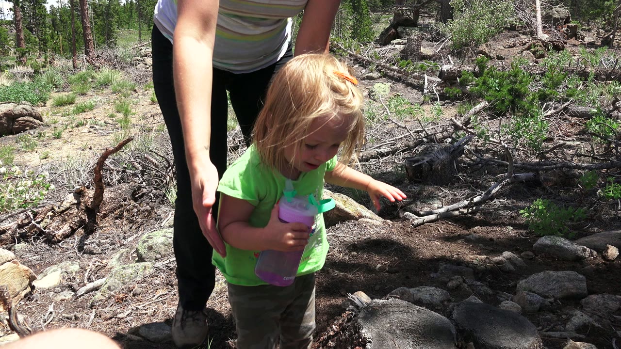 In Westminster, Colorado, the adult reaches a hand toward the child, who looks down while holding a purple cup beside rocks, branches, shrubs, and sunlit trees.