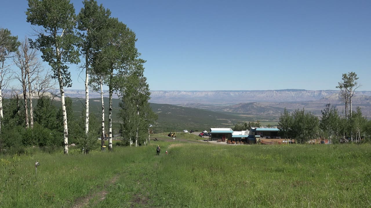 Grassy hillside with tall pale-barked trees, low houses, and distant mountains.