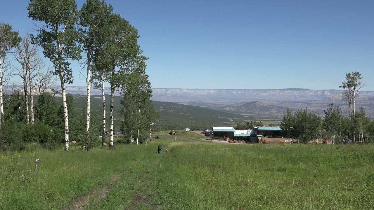A Mesa, Colorado field view shows tall trees framing the left side, a cluster of low houses near the center, mountains in the distance, and no clearly identifiable people.