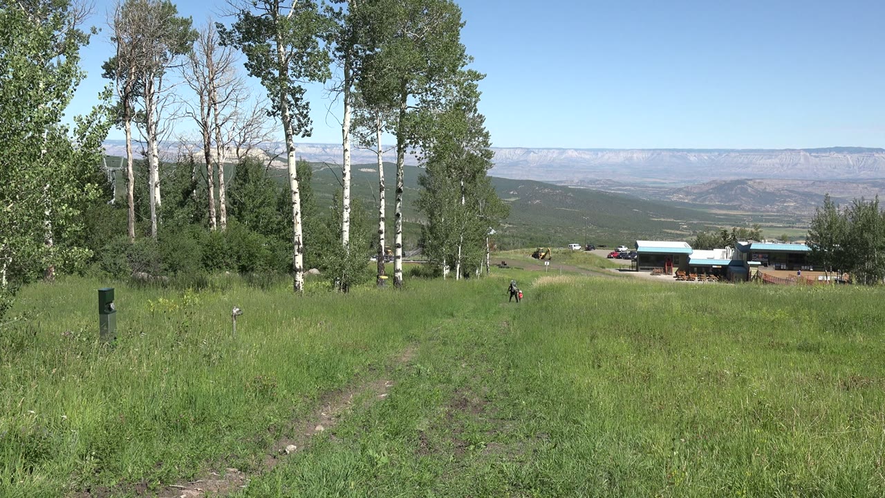 At 0:00, a wide Mesa, Colorado field shows tall green grass, pale tree trunks at the sides, small barns and horses in the distance, and no recognizable people.