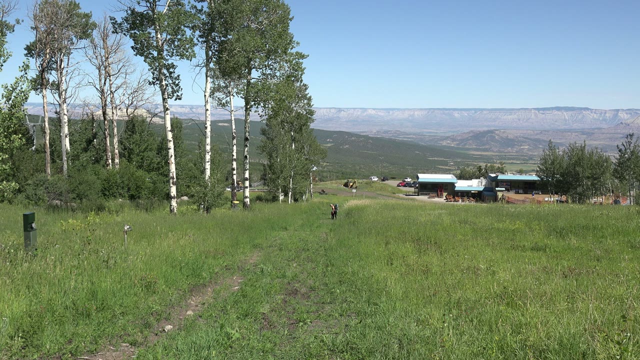 Open green field with trees and distant ranch buildings