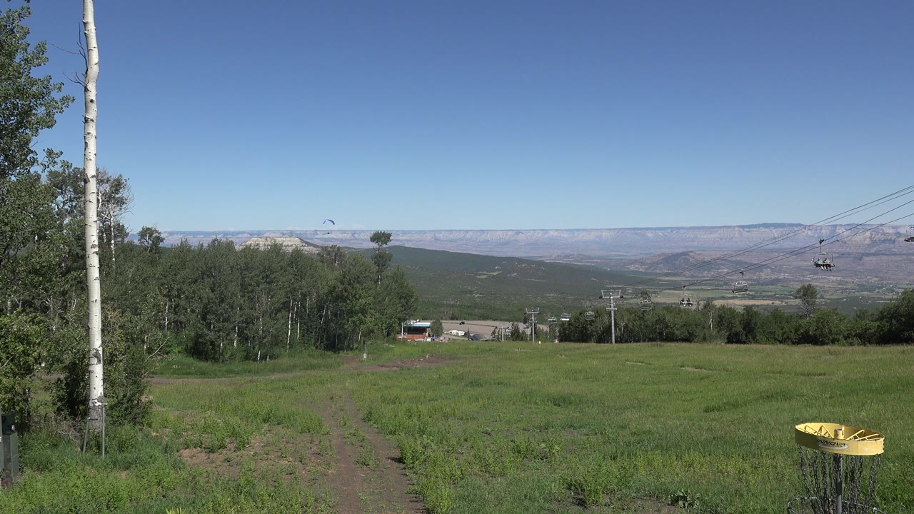 Sunlit field bordered by trees with a disc golf basket and chairlift cables at right.