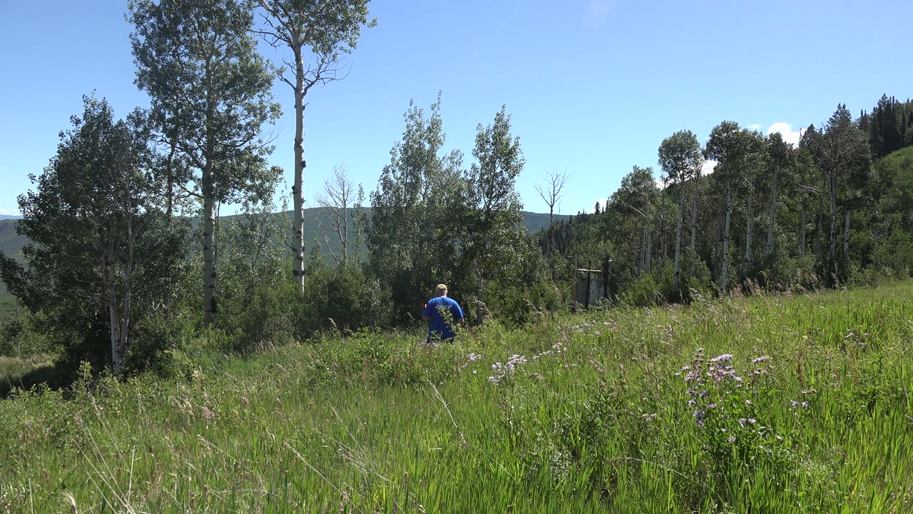 At 0:00 in Mesa, Colorado, a small person in a blue shirt is visible in tall meadow grass beneath tall trees and a clear blue sky.