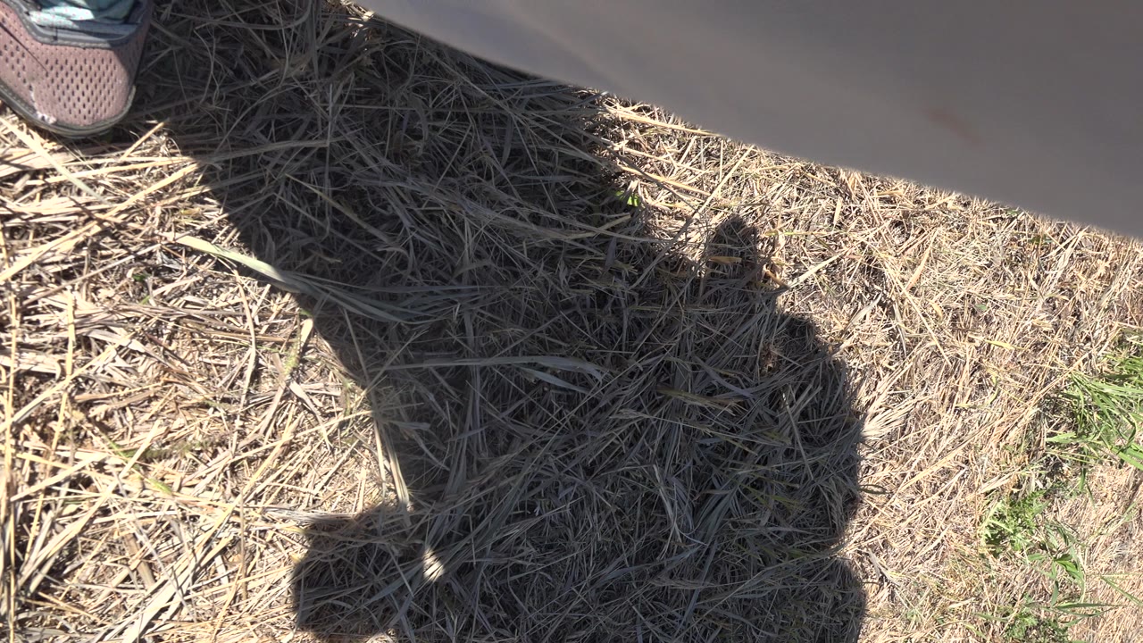 Shadow on dry grass with a partial shoe at the top edge.