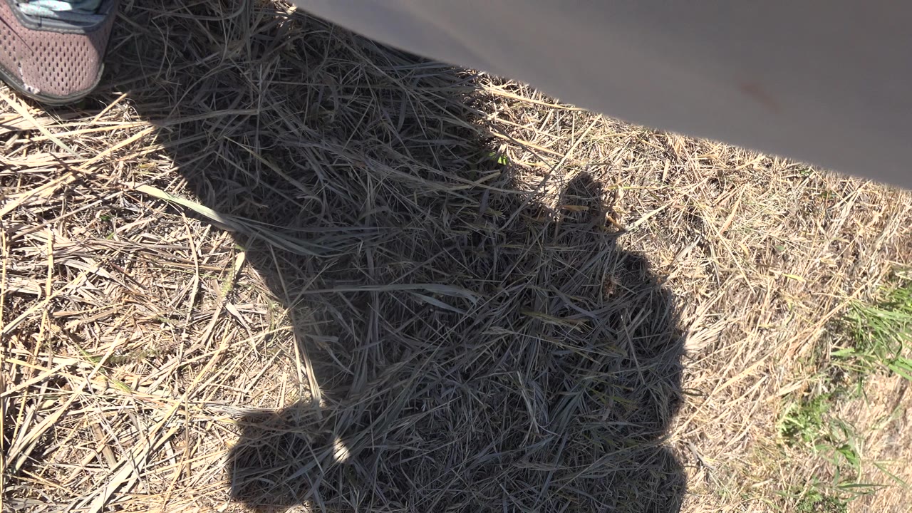At 0:01 in Mesa, Colorado, the downward frame holds on straw-covered ground, a dark human shadow, and a blurred foreground limb along the top.
