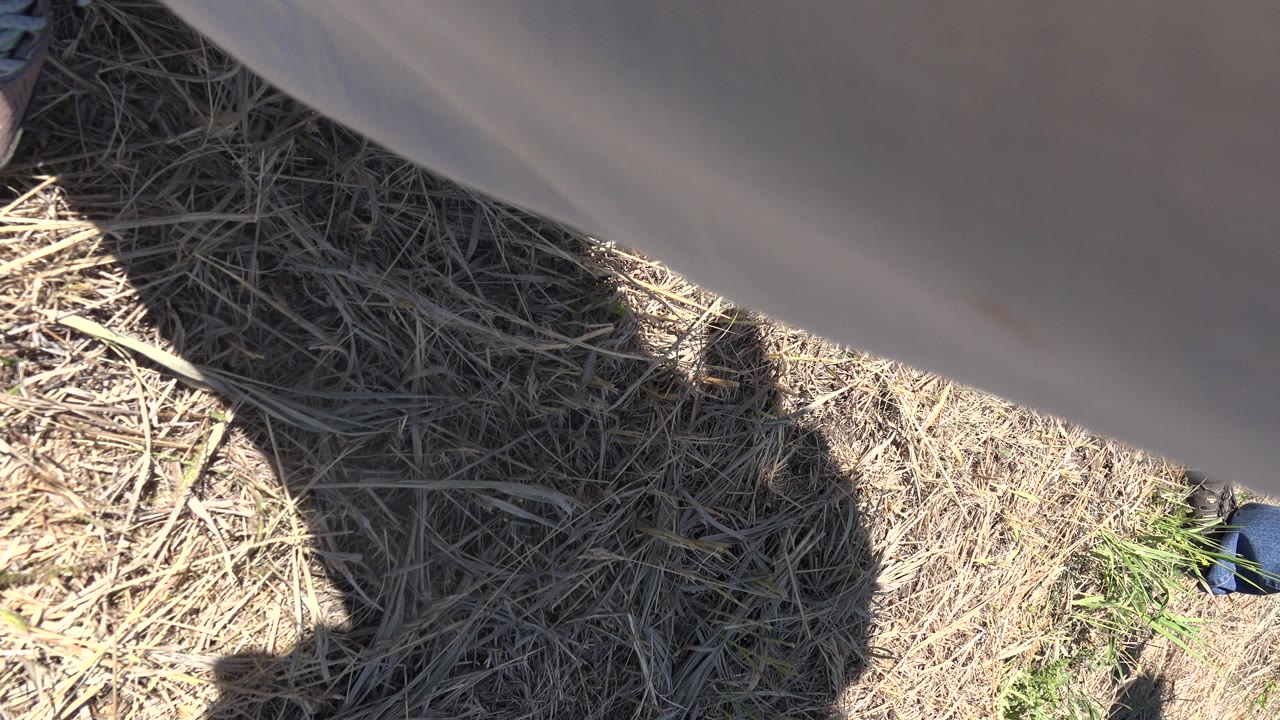 Downward view of gray pants, a shoe edge, dry grass, and a dark shadow.