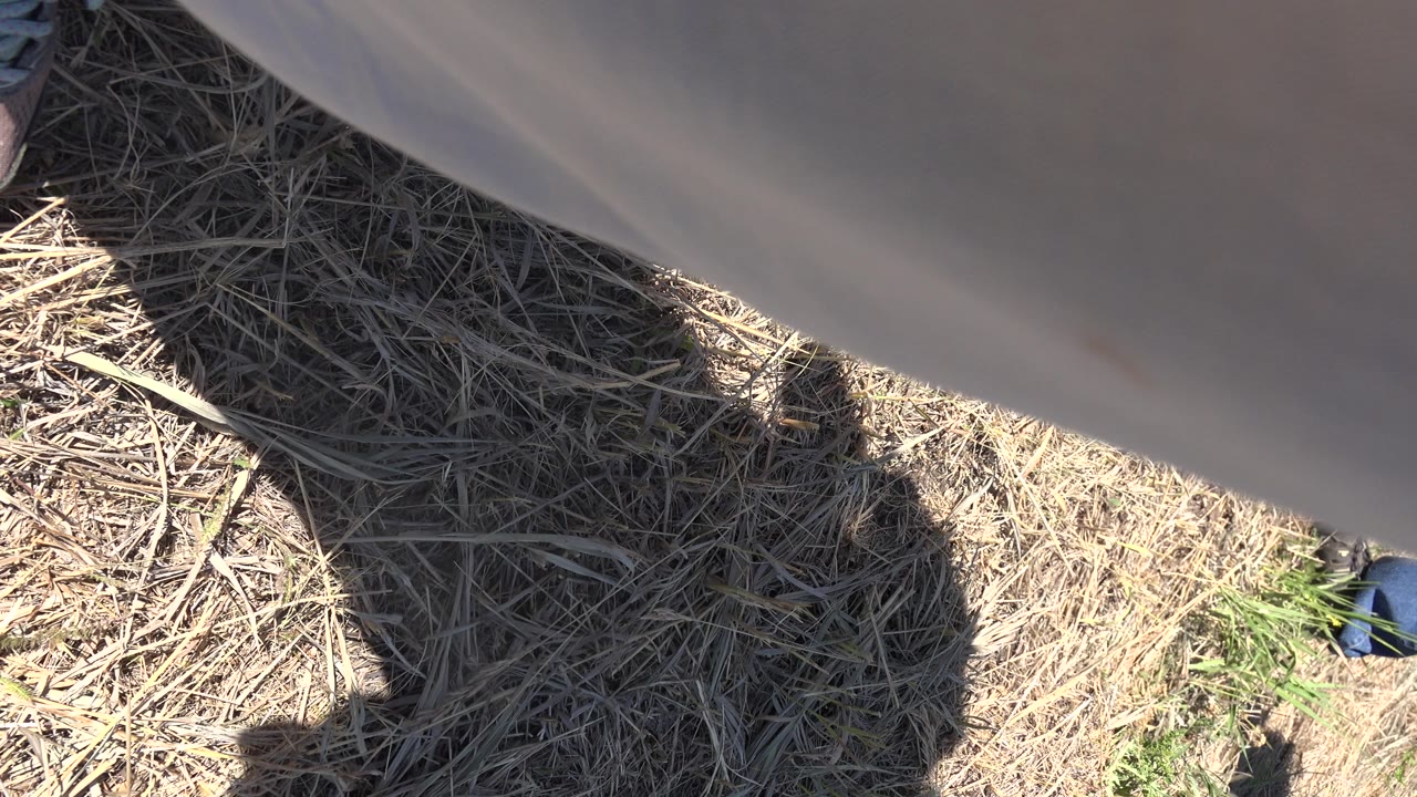 At 0:01 in Mesa, Colorado, a gray pant leg fills the upper frame while dry grass and a dark body shadow remain visible below.