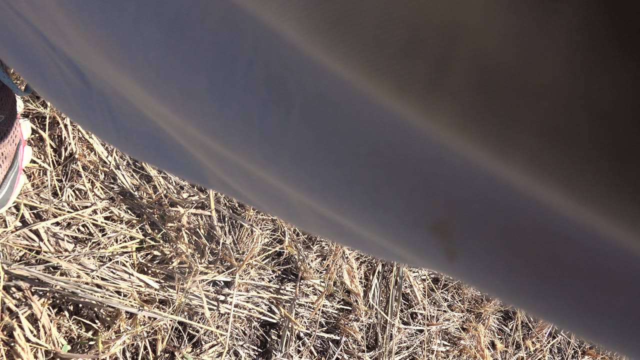 Close obstructed view of dry grass with a partial grey and pink shoe near the top edge.