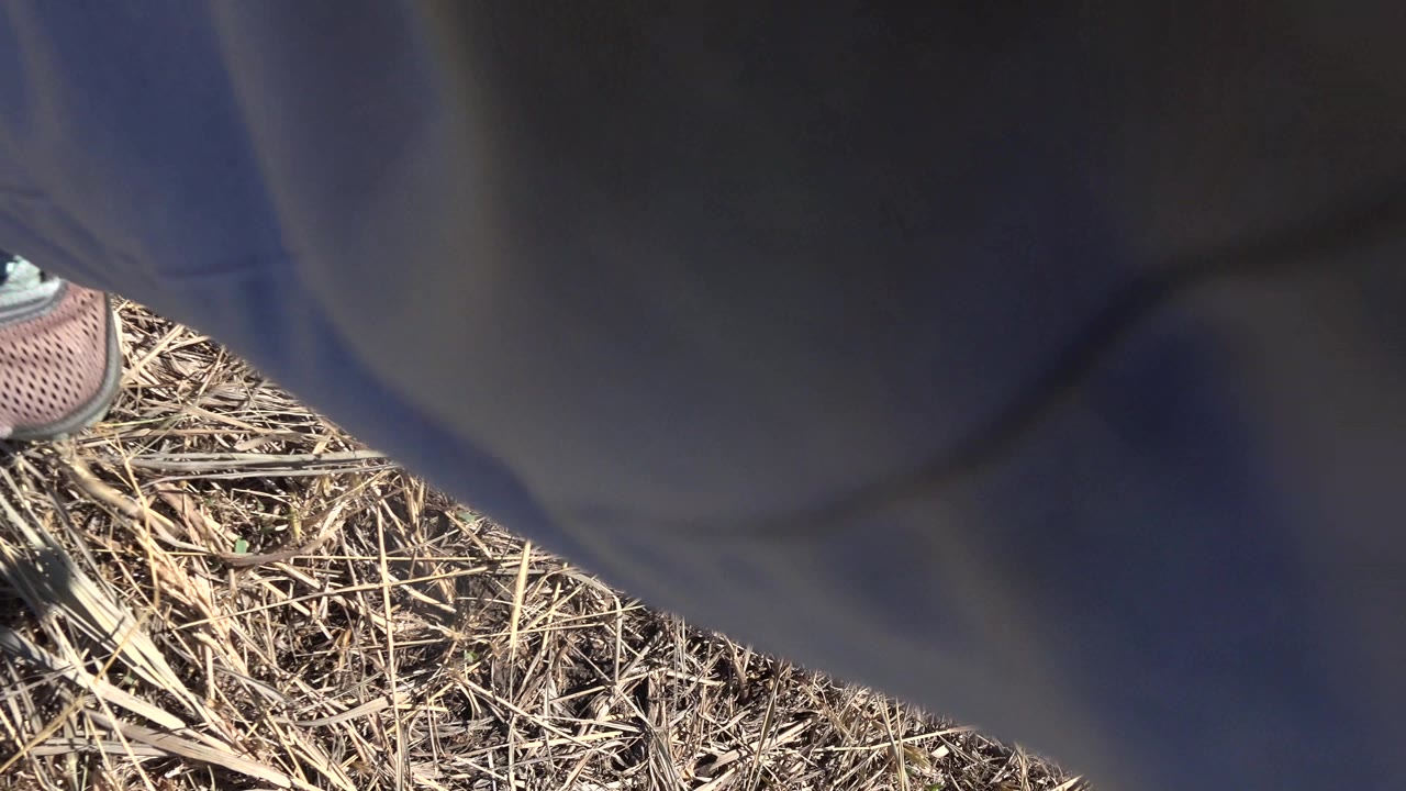 Downward view of shoes, pants, and dry trail grass in bright sun.
