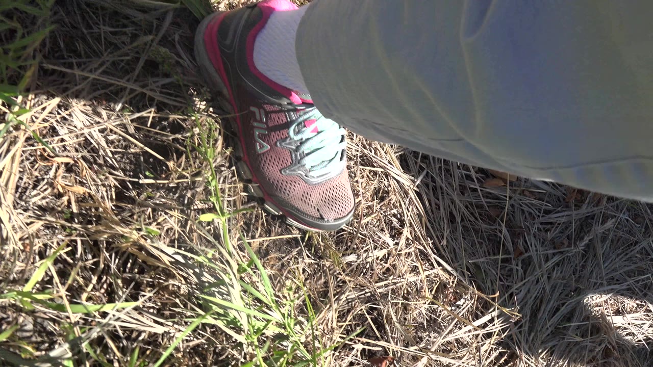 Ground-level view in Mesa, Colorado showing a sneaker, light pants, dry grass, and scattered green blades under bright sun.