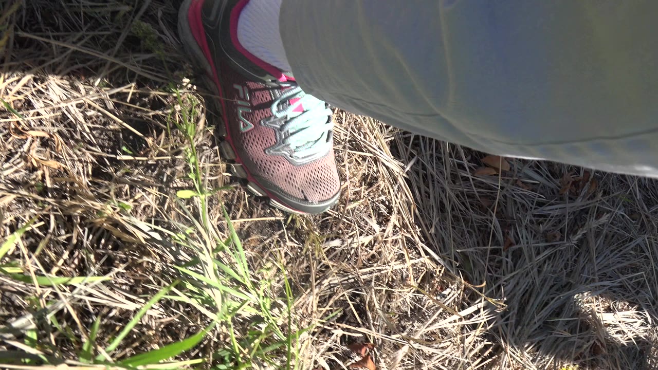 A sneaker and lower pant leg fill the upper frame while dry grass and small green plants cover the sunlit ground in Mesa, Colorado.