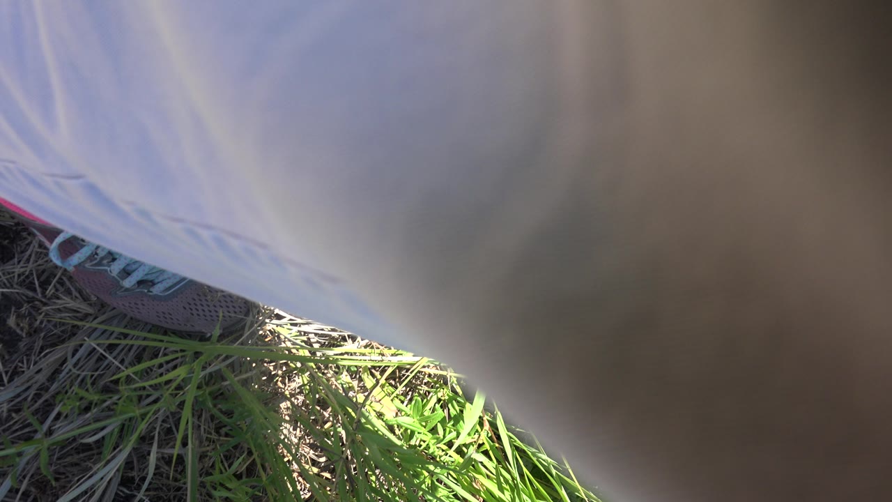 Downward view of shoe, pale fabric, and grass.