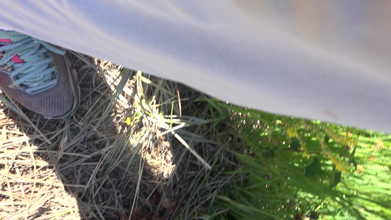 A downward Mesa, Colorado trail view shows part of a shoe, pale fabric across the top of frame, dry straw, and green grass in sun and shade.