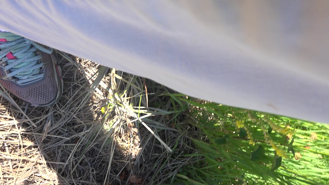 A Mesa, Colorado ground shot shows a sneaker near dry straw and vivid green trail grass, with pale fabric crossing the upper frame and no visible faces.