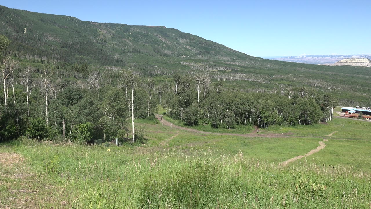 Green mountain side farm with trees, grass, and blue sky.