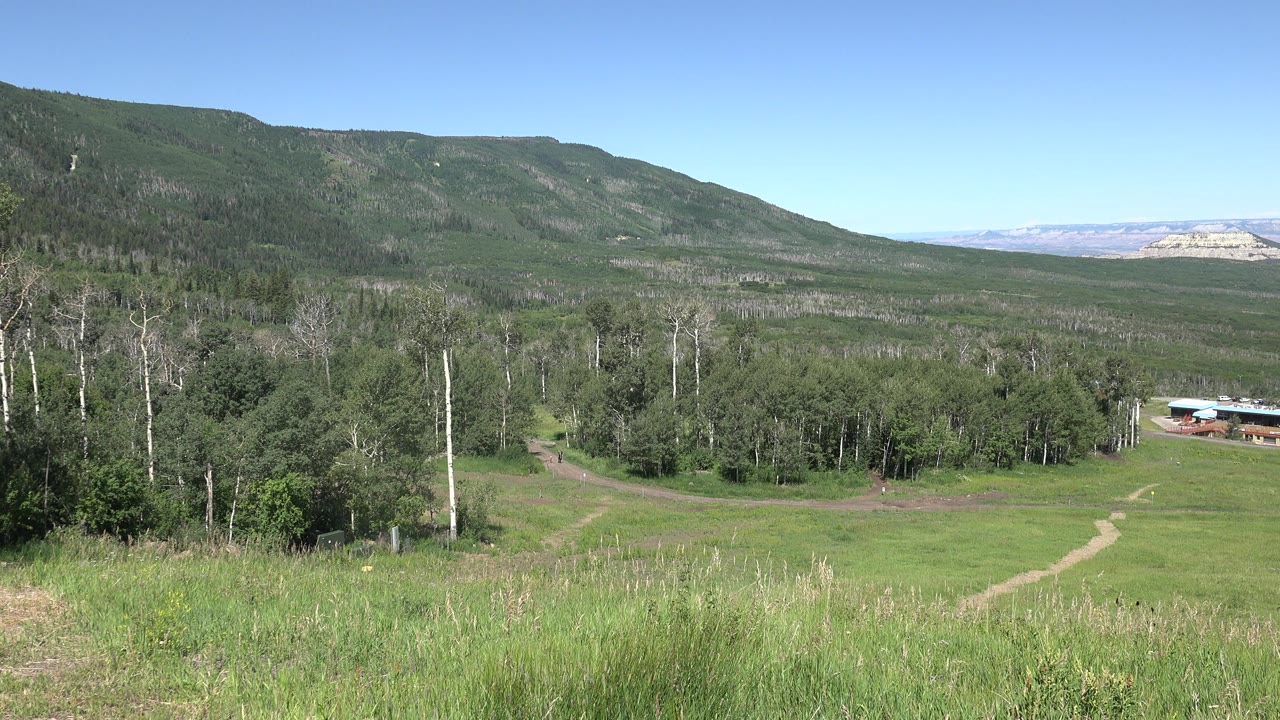 Green hillside field with dirt path, trees, mountains, and blue sky.