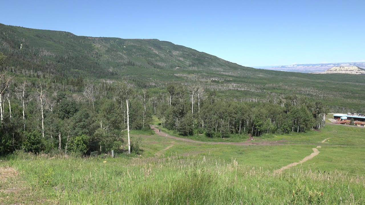 At 0:01, the Mesa, Colorado view holds on the winding dirt path through bright green grass, with dense trees, pale trunks, a low mountain ridge, and no visible people.
