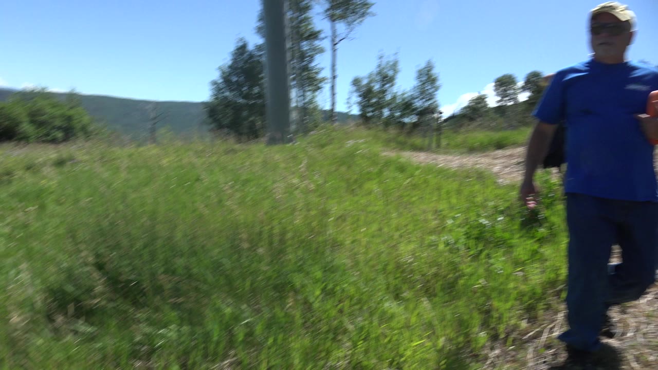 The hiker remains near the right side of the frame beside a sunlit grass-lined trail in Mesa, Colorado.
