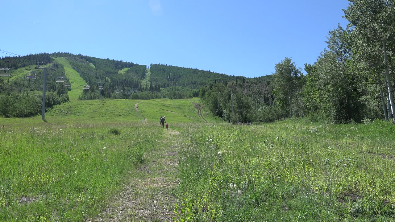 At 0:01, the walker remains small in the midground of a Mesa, Colorado meadow, framed by bright grass, a narrow path, trees, and a clear sky.