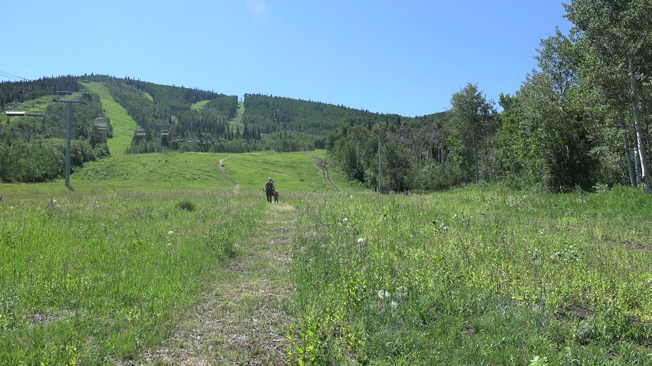 Wide grassy field with a distant person and dog near a dirt track