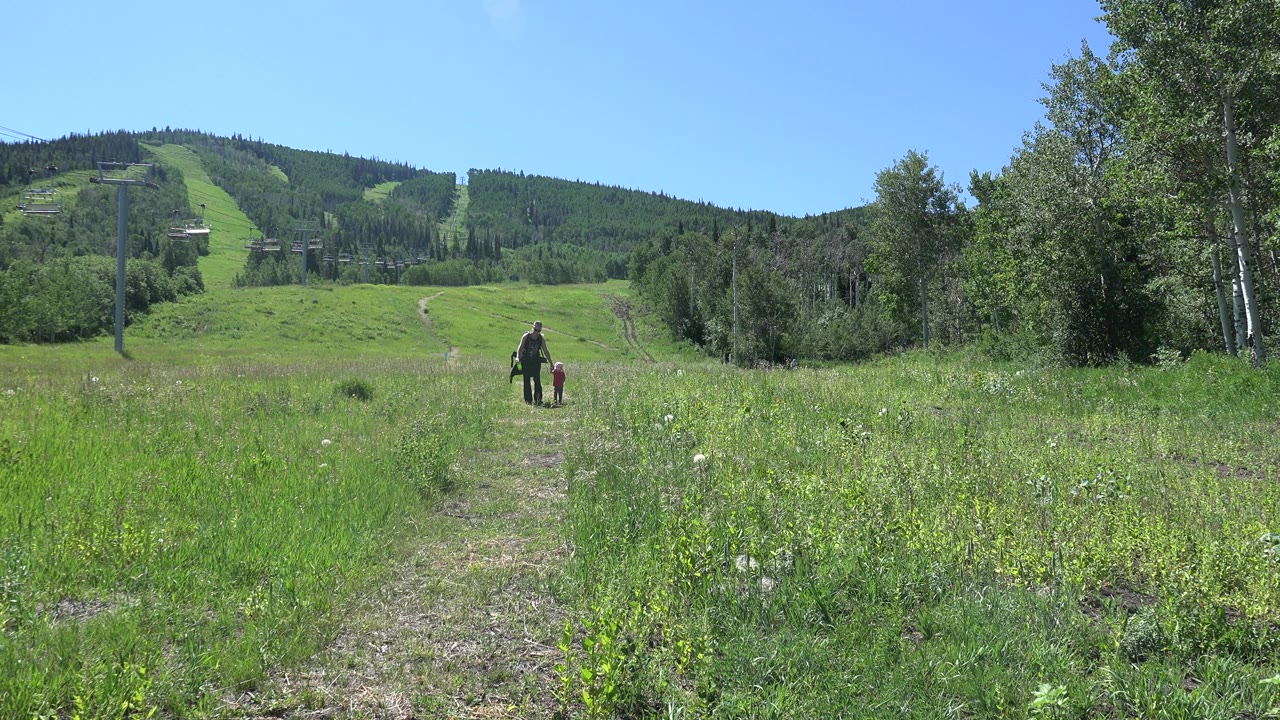 Man and child walking through a green field toward a wooded hill.