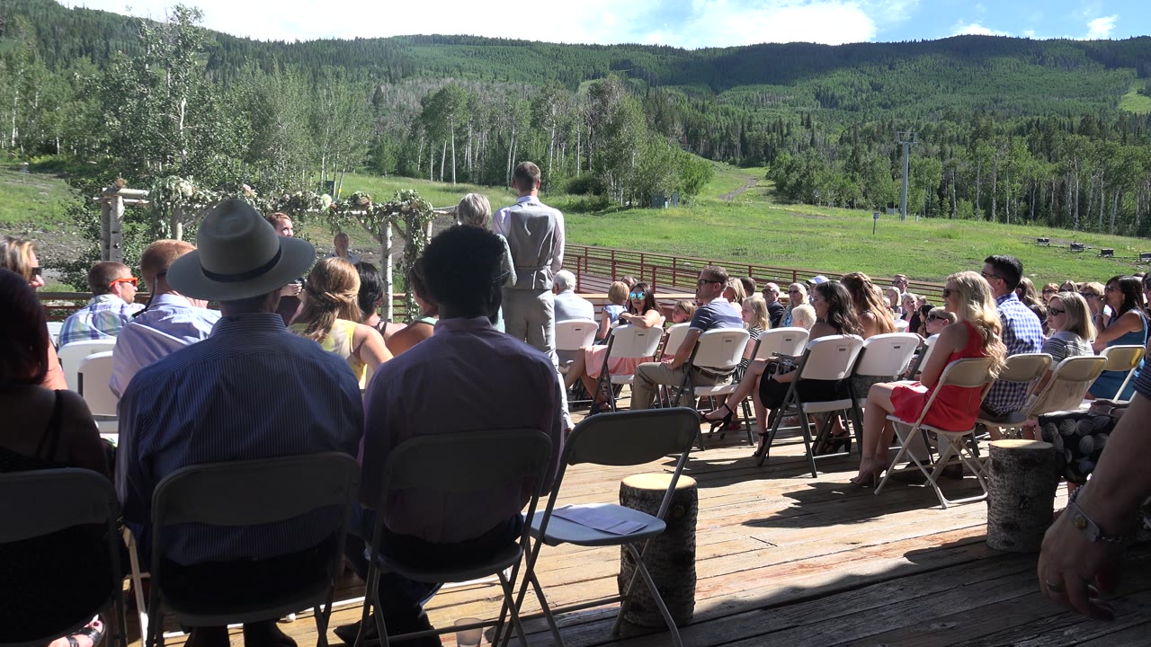 Crowd of wedding guests viewed from behind in bright sun.