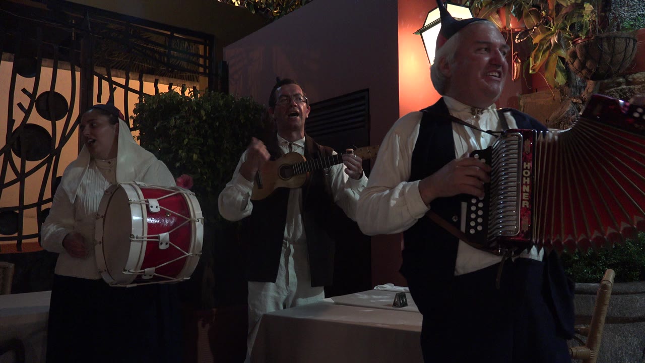 The accordion player fills the right foreground while the drummer and string player remain visible behind him near the gate and plants in Madeira, Portugal.