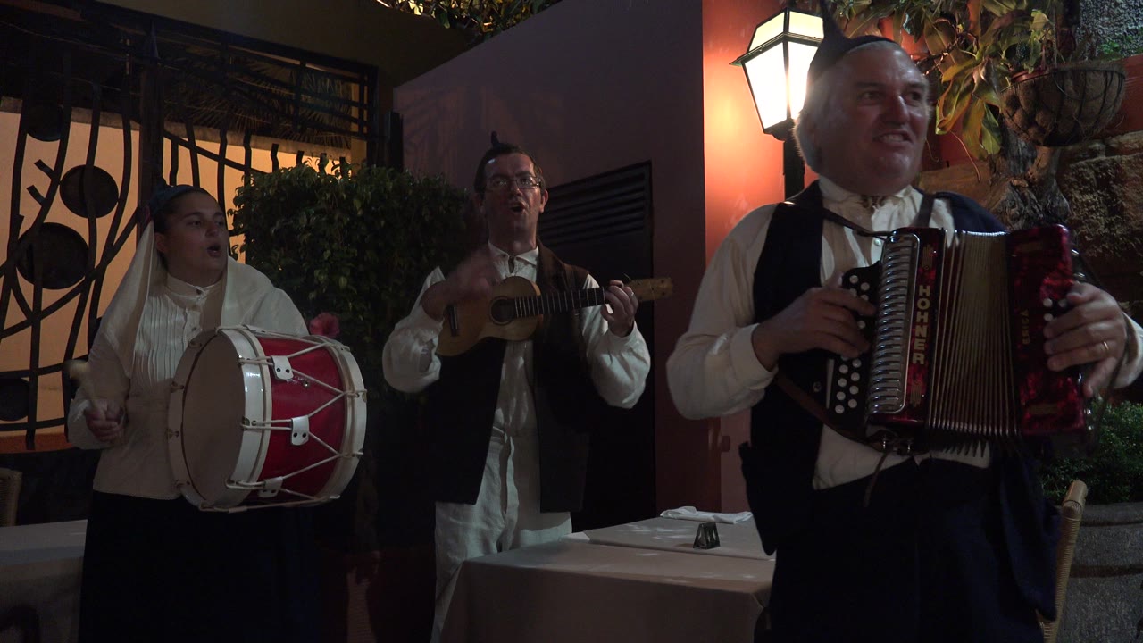 Three performers play drum, small stringed instrument, and accordion outside or near a restaurant wall.