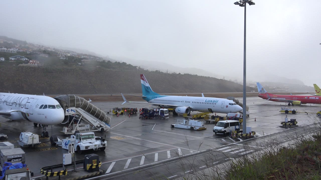 Parked planes and baggage carts on a wet airport tarmac