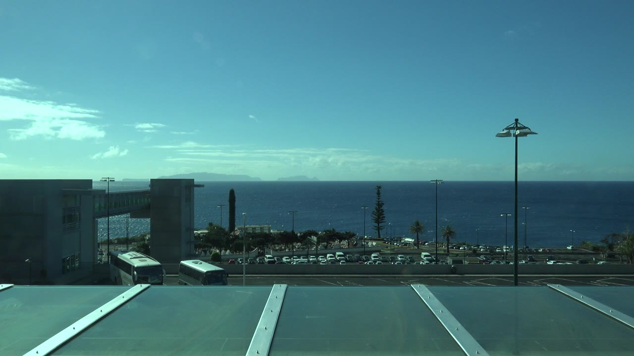 Sea horizon beyond a street, parked cars, buses, palms, and building edges.