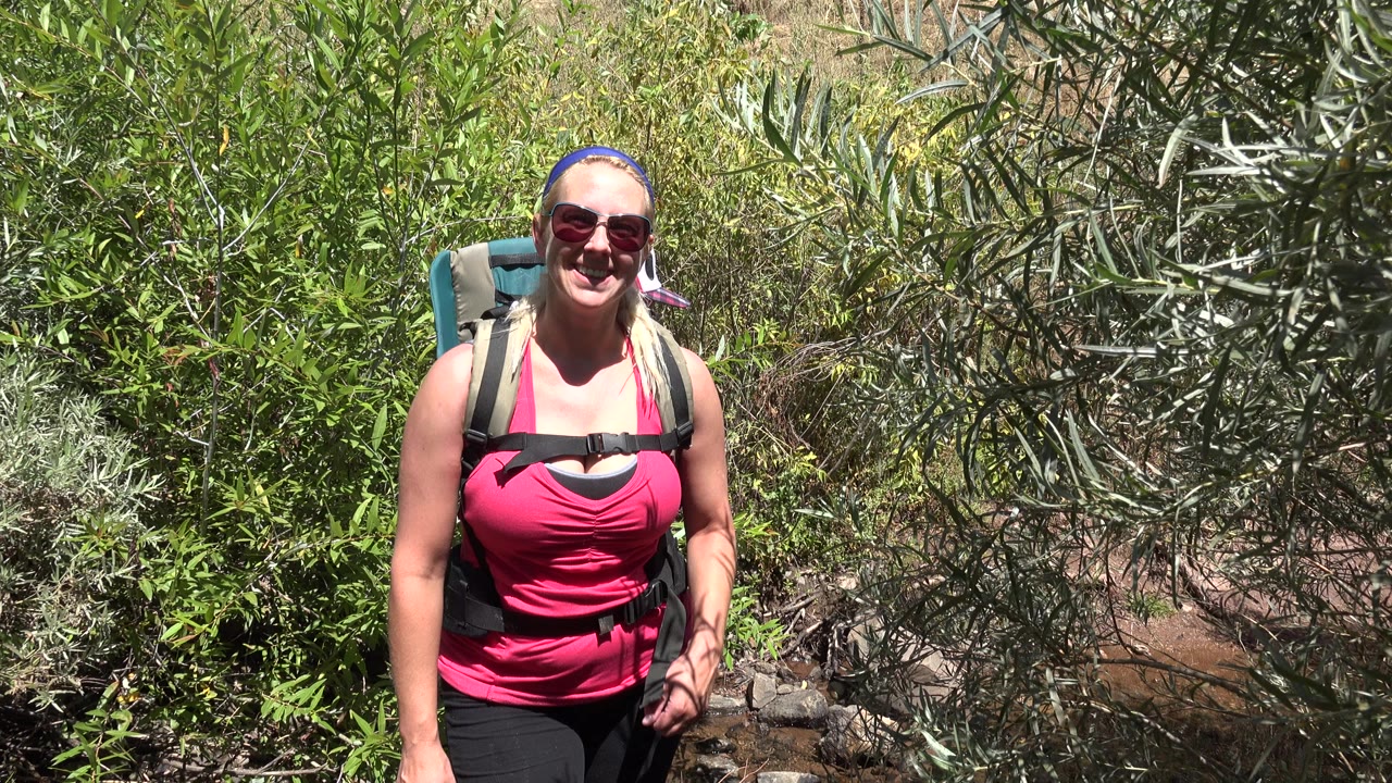 Blonde woman with sunglasses and hiking carrier smiles in sunlit brush.