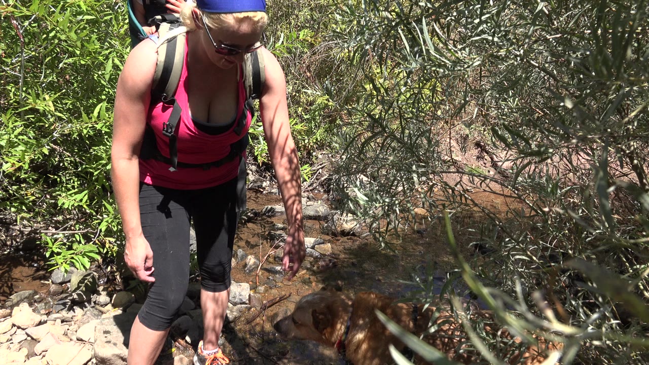 Woman hiking through brush near rocks and shallow water with a dog partly visible below.