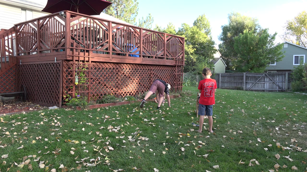 One child bends toward the grass while another stands nearby.