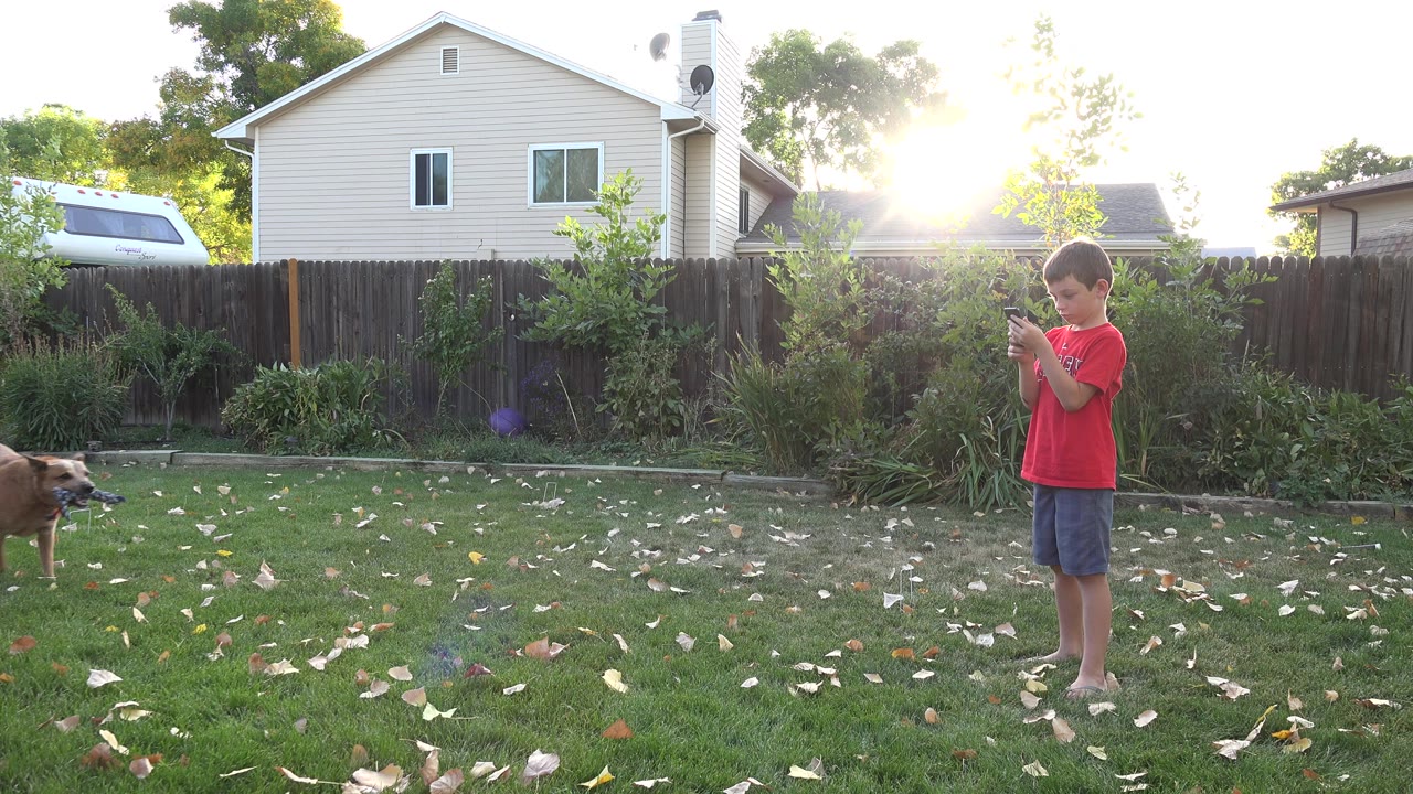 Boy standing in backyard as a dog enters from the left