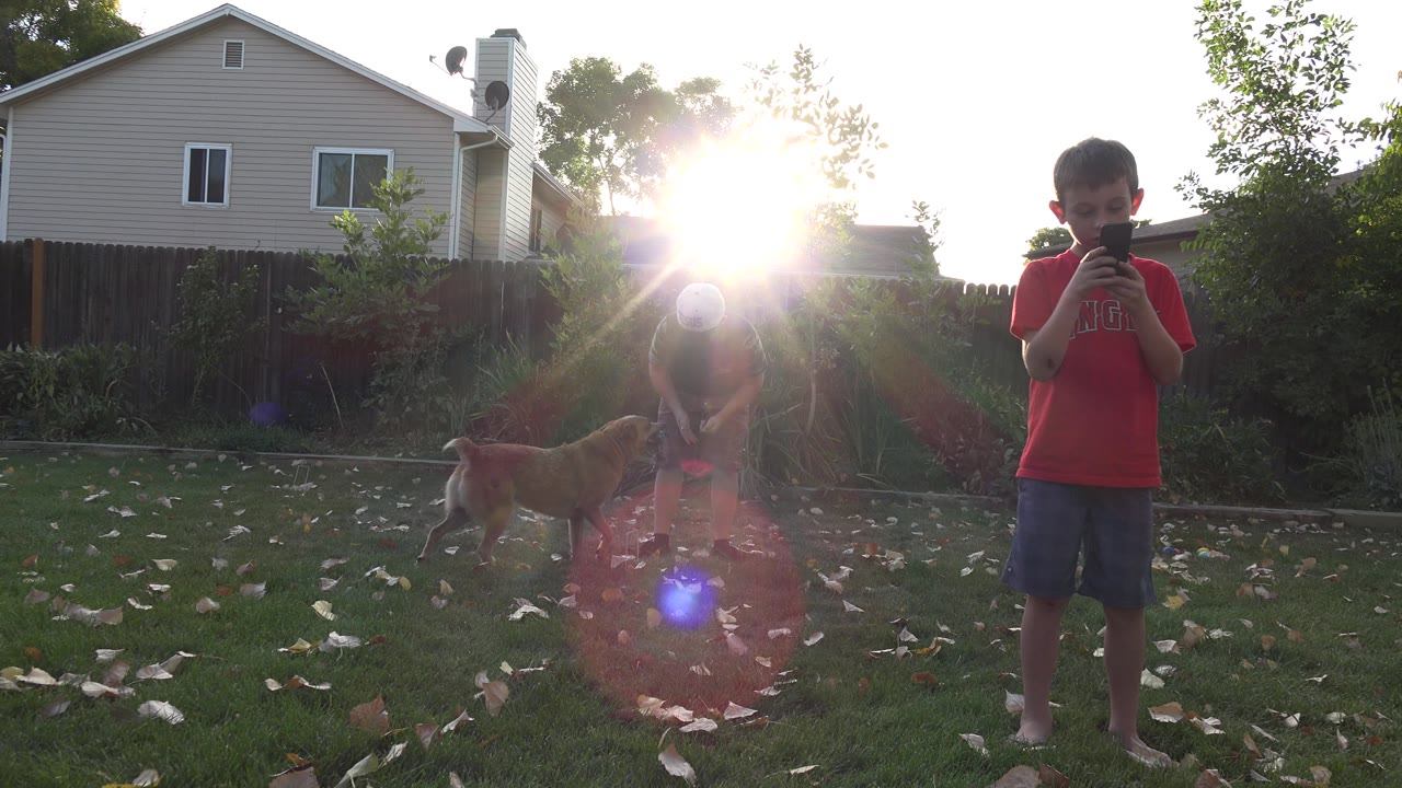 Boy in red shirt standing in a sunny backyard with dog and adult nearby.