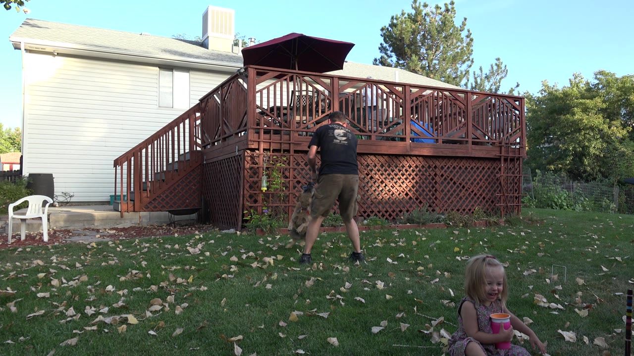 Man playing with a dog in a backyard while a young girl sits in the foreground.