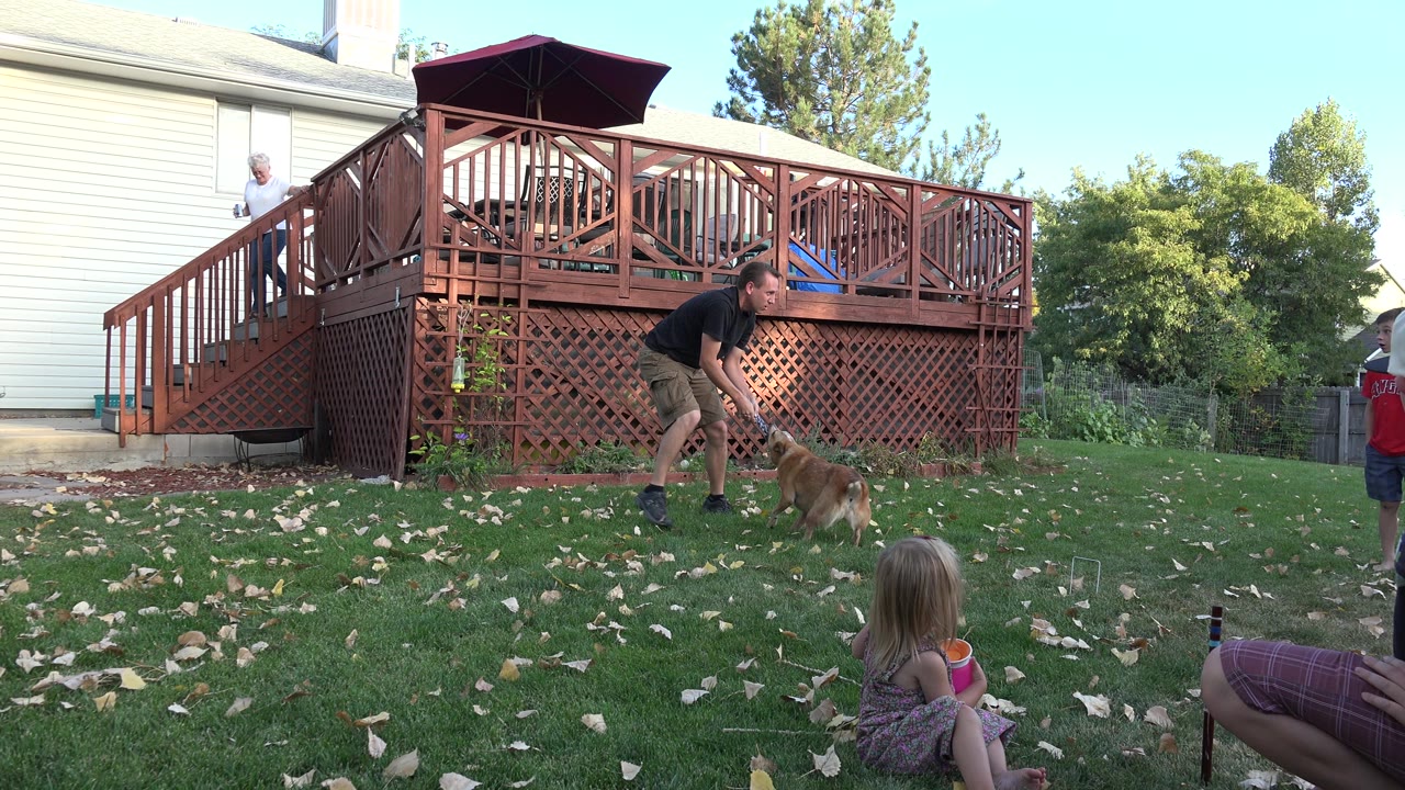 At 0:00 in Westminster, Colorado, a man bends toward a small brown dog on the lawn as children sit and stand nearby beside a red wooden deck.