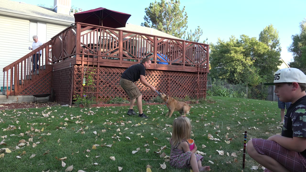 Boy in a white cap sits in the foreground as the man plays with the dog.