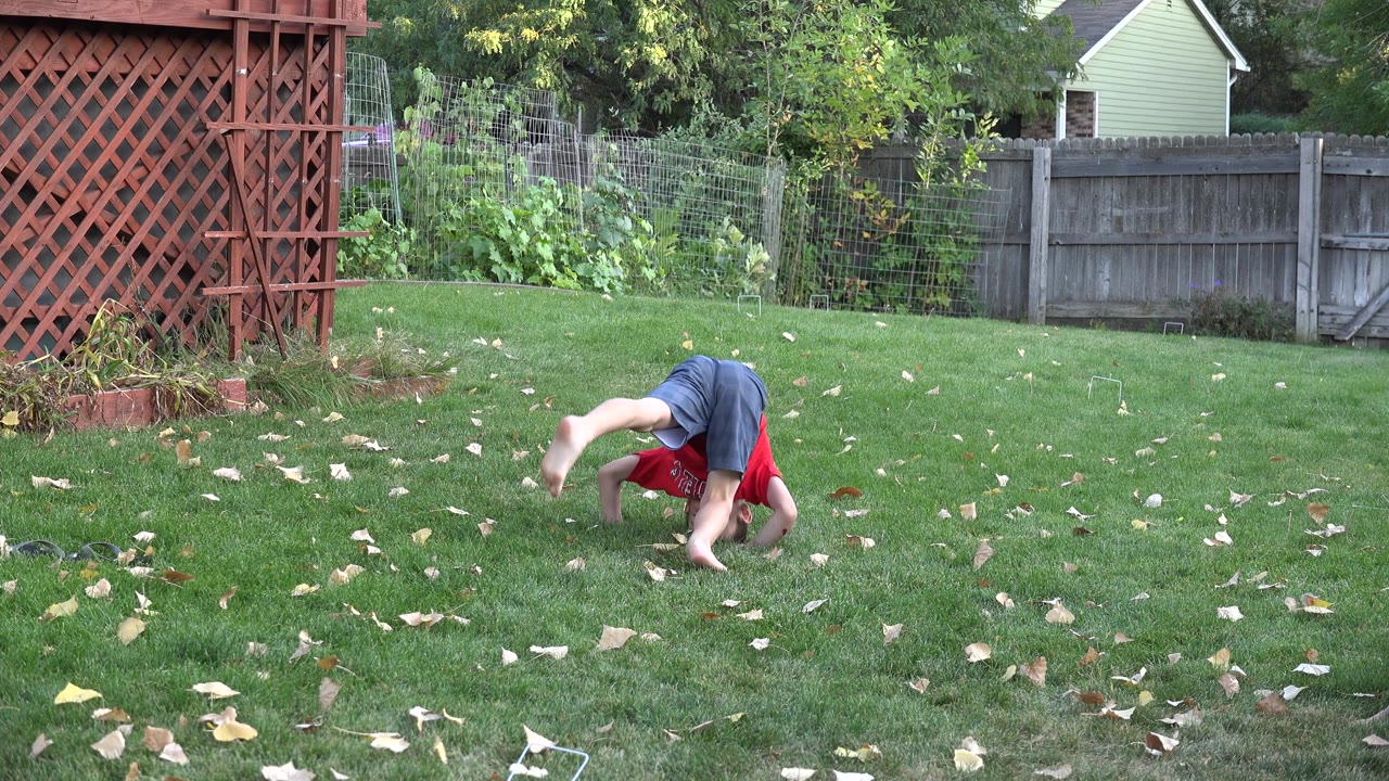 The boy is upside down with hands on the lawn during a backyard tumble in Westminster, Colorado, framed by scattered leaves, fence panels, red lattice, and dense greenery.