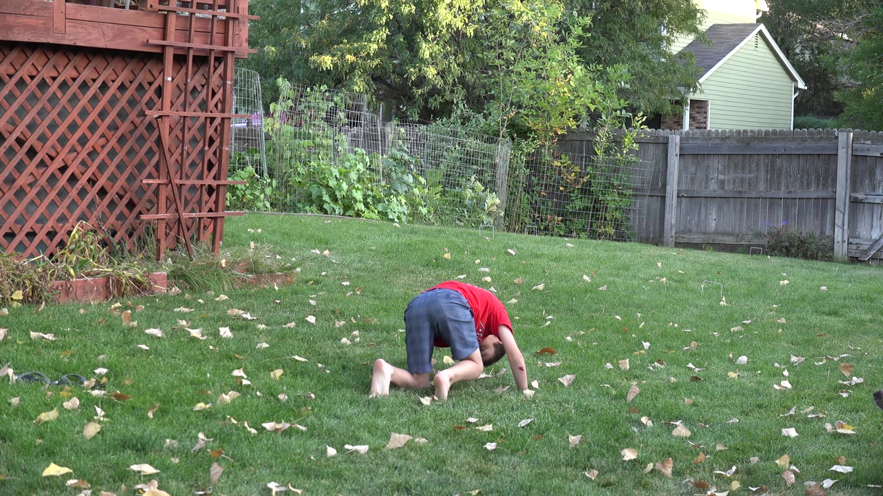 Child in a red shirt crouched on a backyard lawn.