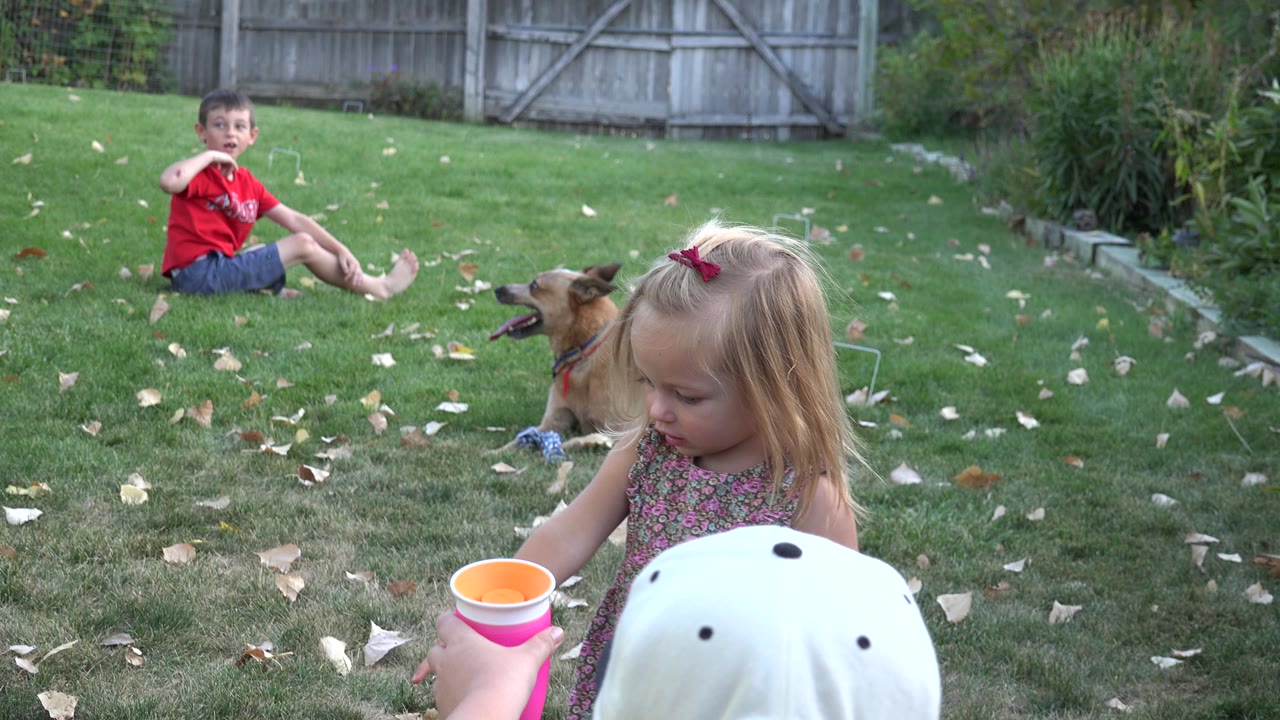 Girl holds colorful cups while a boy sits on the lawn and a dog rests nearby.