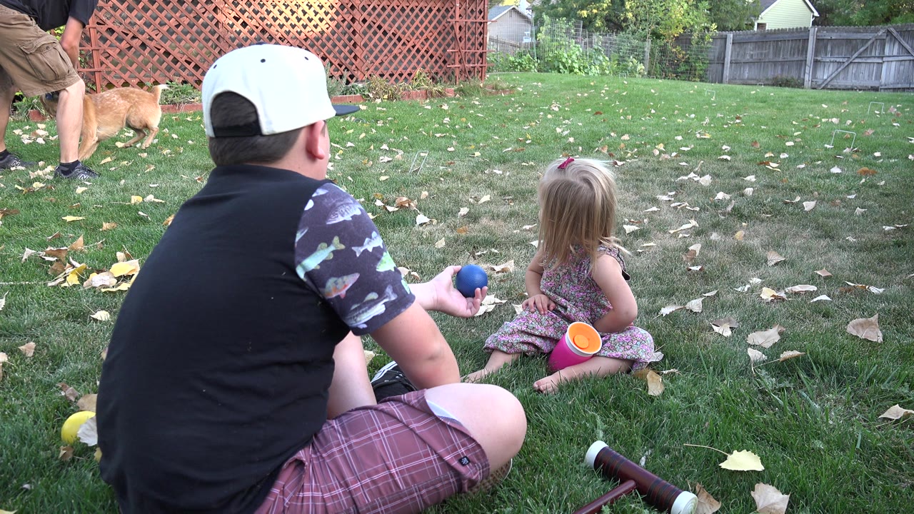 The Westminster backyard remains framed from ground level as the boy holds the blue ball toward the little girl, with a tan dog and adult legs active near the fence behind them.