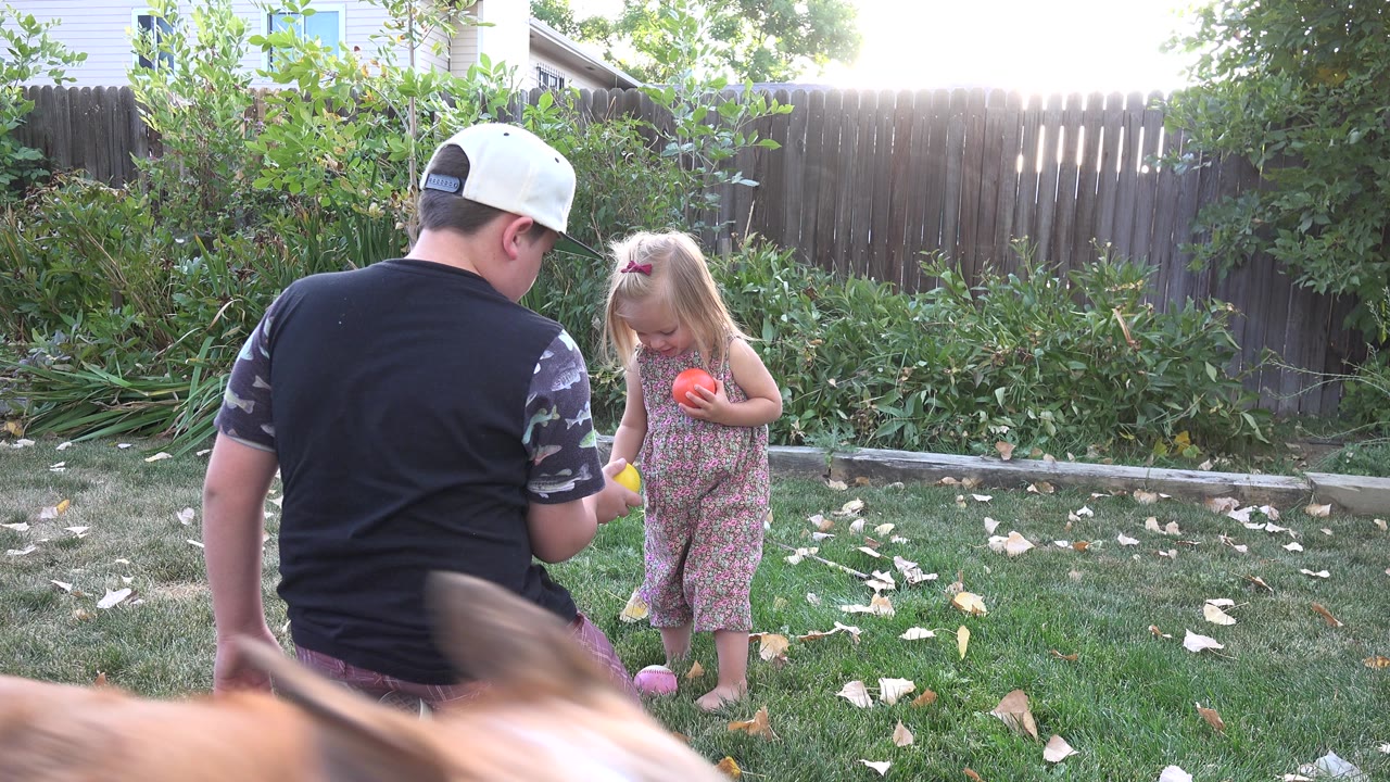 The boy remains kneeling with his back to camera as the young girl stands in front of him holding a red ball, with a yellow ball near her feet in the Westminster backyard.