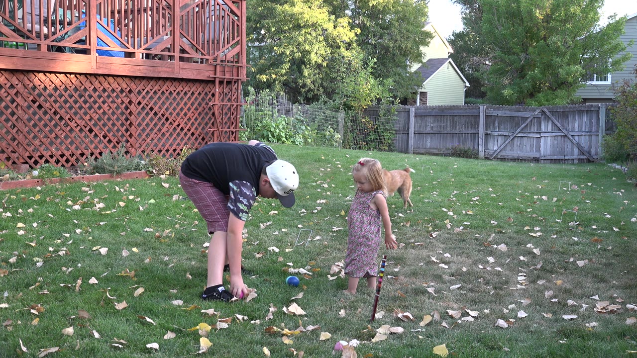 In Westminster, Colorado, the boy stays bent over the balls while the young girl faces him and the dog stands farther back near the center of the yard.