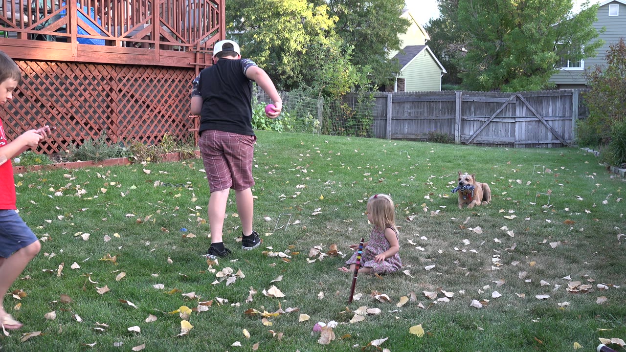 The Westminster backyard remains wide, with the adult standing near center, the seated girl watching from the grass, the boy partly cropped at left, and the dog farther back near the wooden fence.