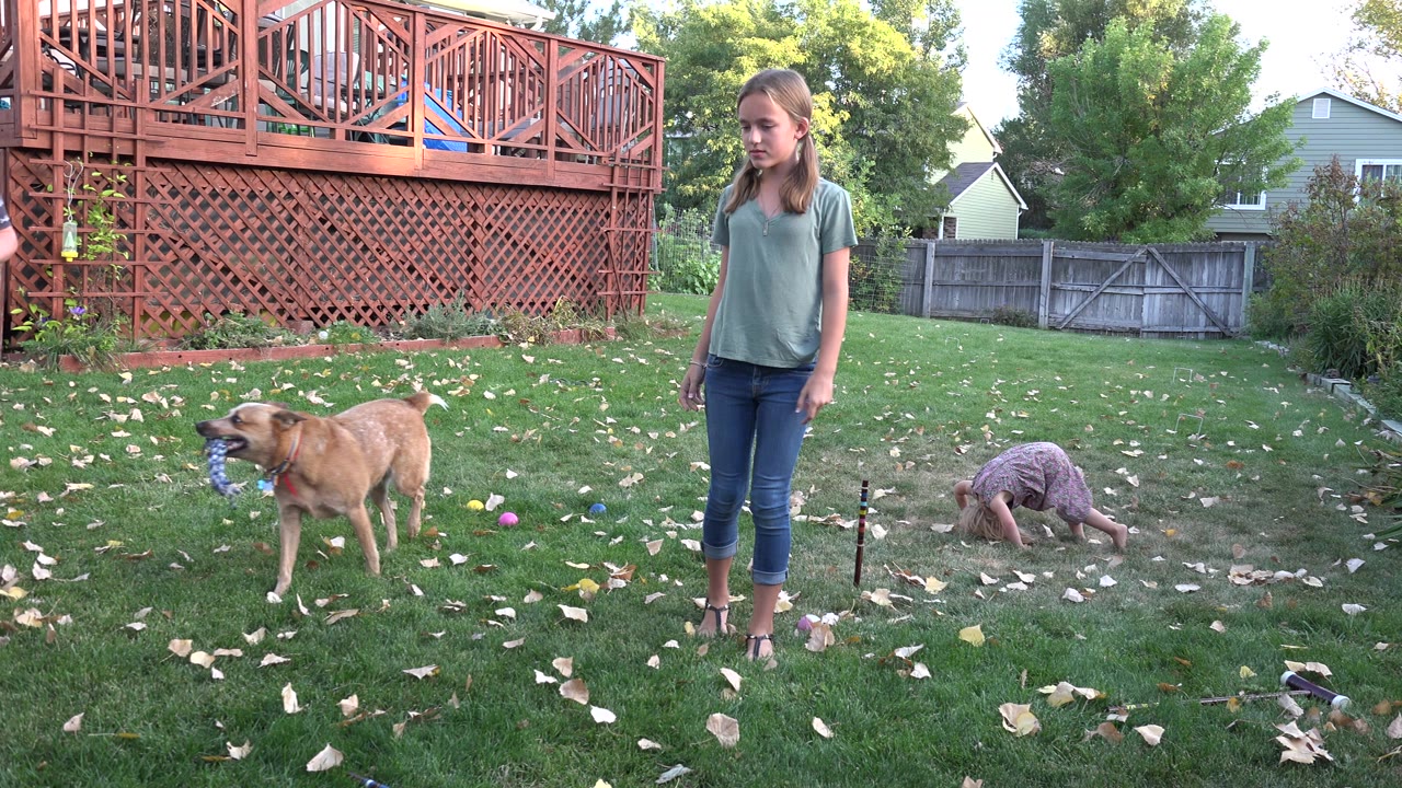 Young girl standing in a backyard while a child bends on the grass and a dog carries a ball.