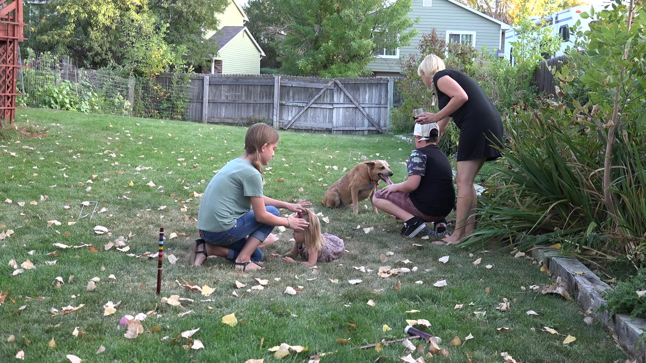 Children and an adult with two dogs in a backyard.