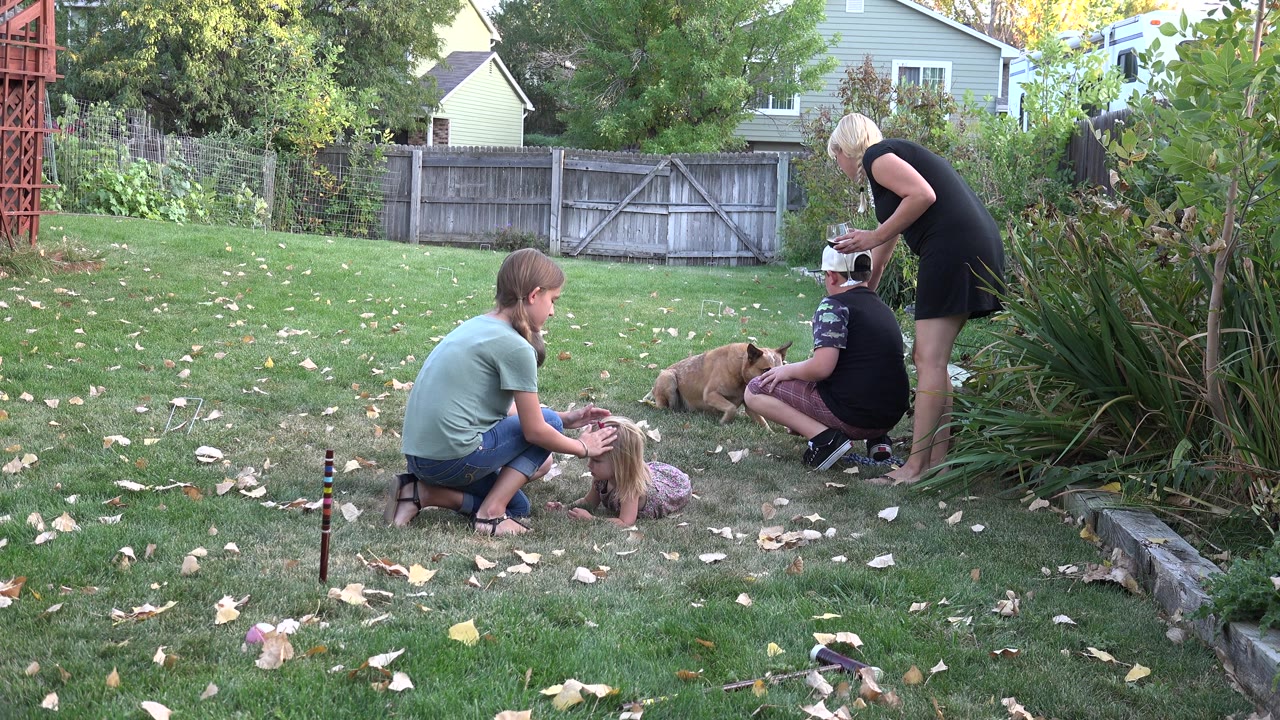 In Westminster, Colorado, the children stay low around the dogs on the lawn while the adult woman stands at the right edge near shrubs and a weathered fence.