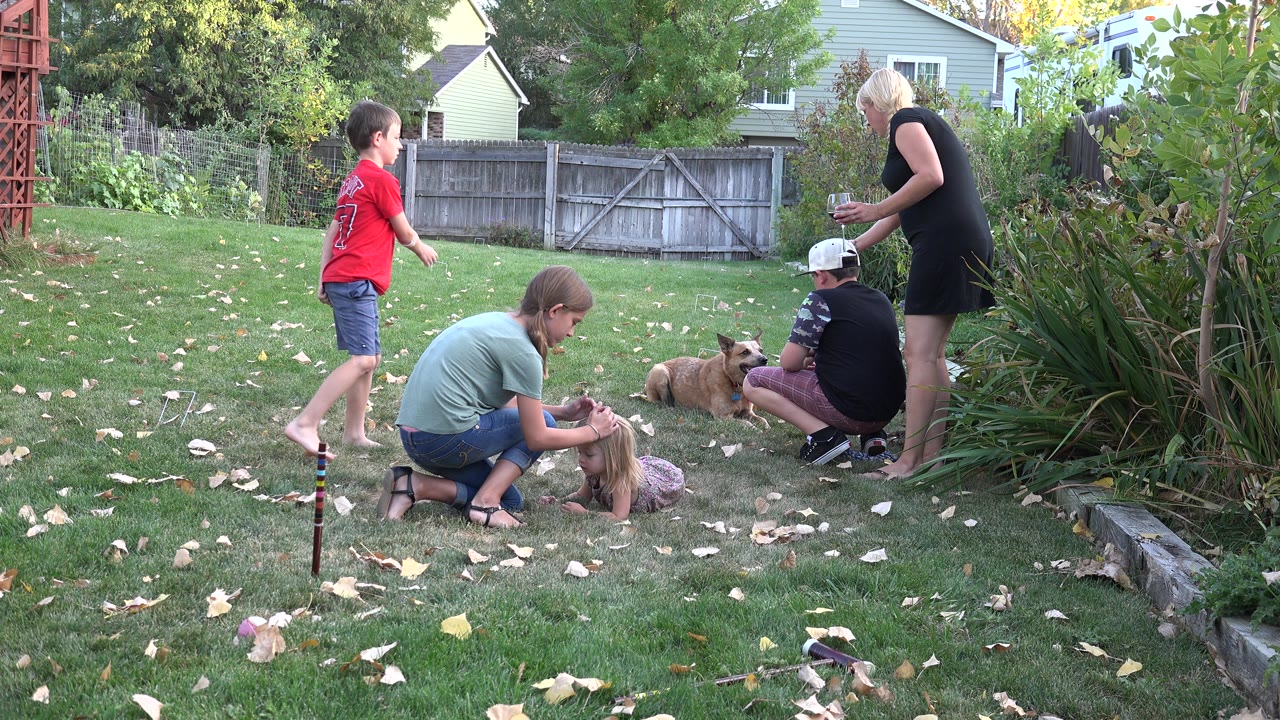 Adults, children, and dogs in a fenced backyard.