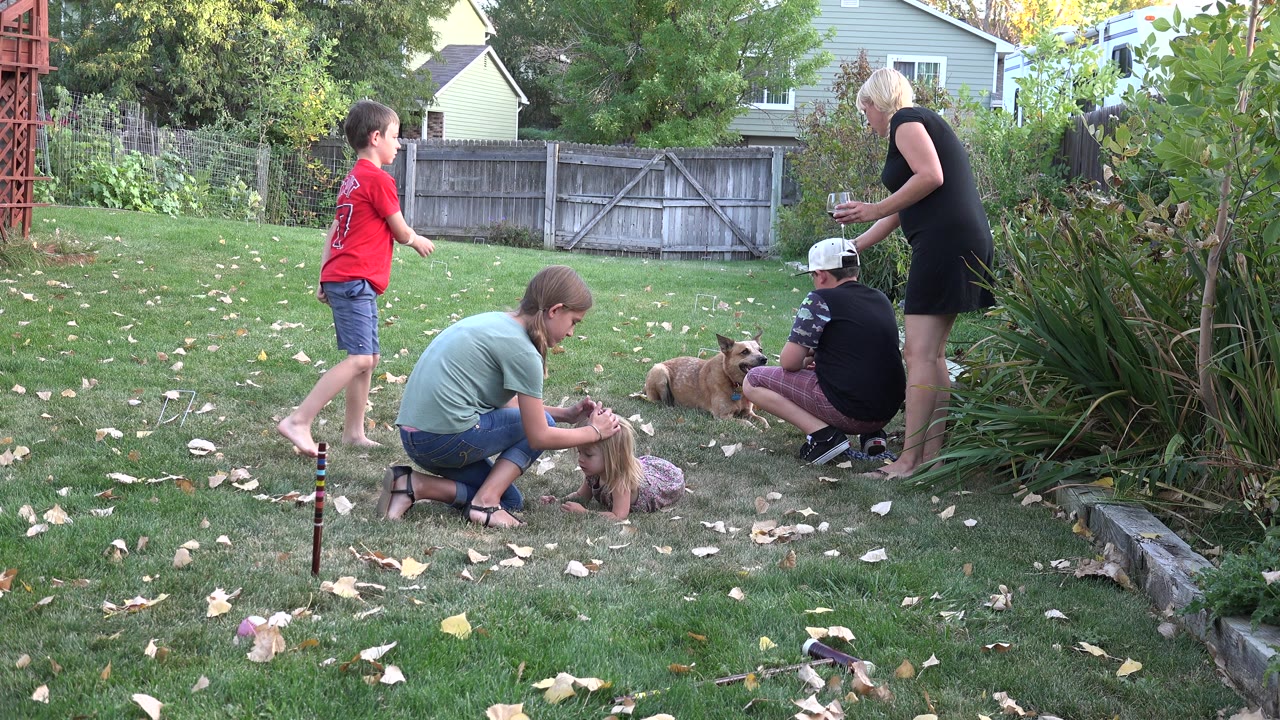In Westminster, Colorado, a boy in a red shirt moves across the lawn while adults, another child, and dogs remain near the garden edge and fence.